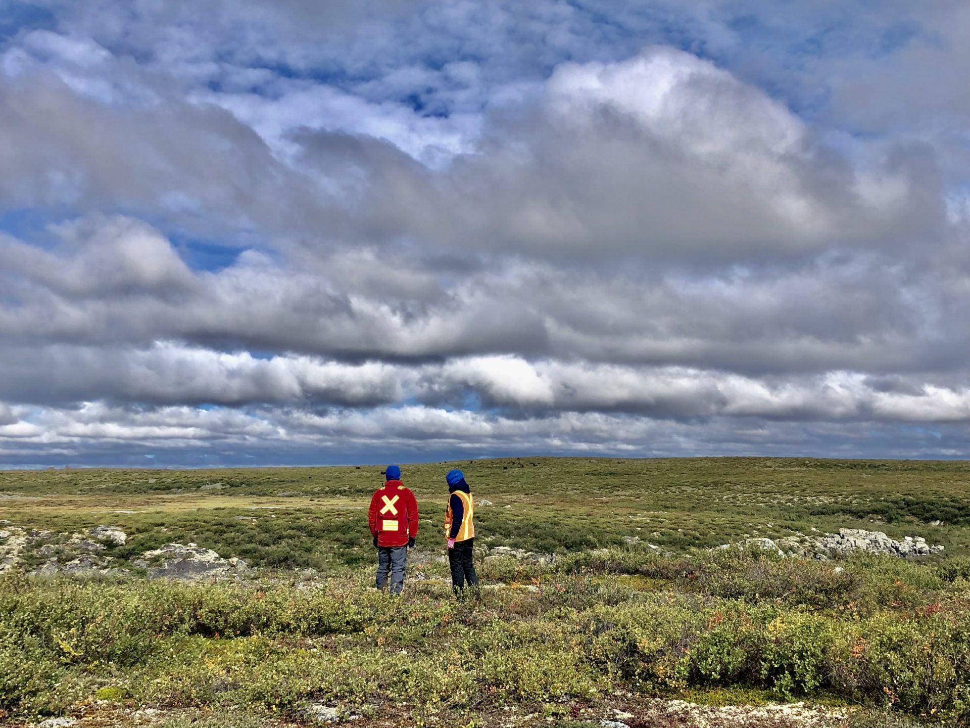 Seminar – 19 April – Variation in the morphology of permafrost peatlands across the transition from continuous to discontinuous permafrost, central Mackenzie Valley.